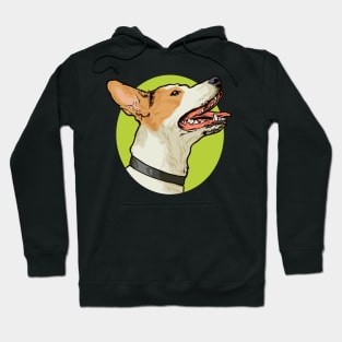 Drawing - Jack Russell Hoodie